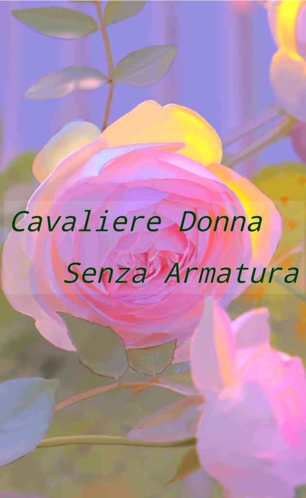 Cavaliere Donna Senza Armatura