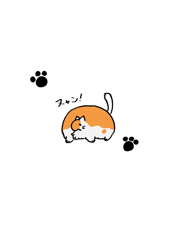 こねこびより