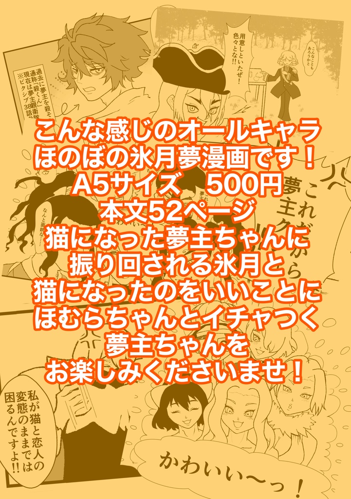 こねこびより