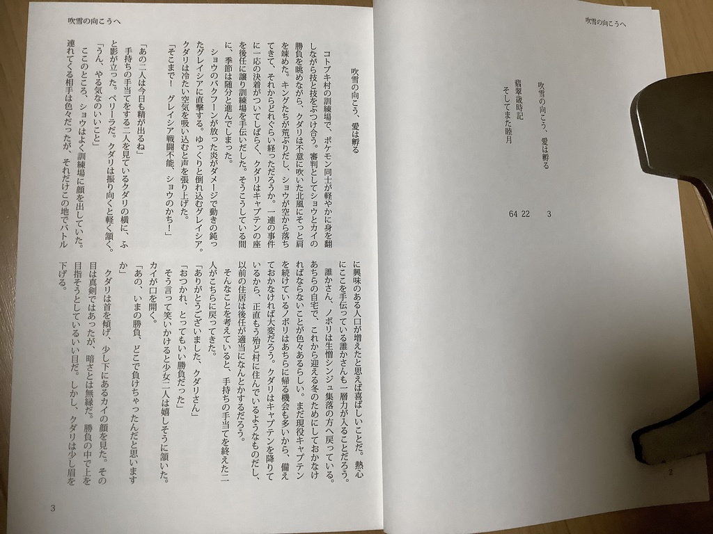 吹雪の向こうへ