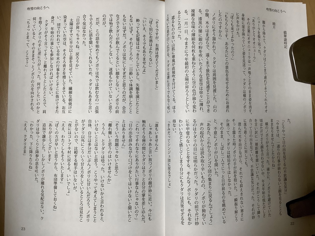 吹雪の向こうへ