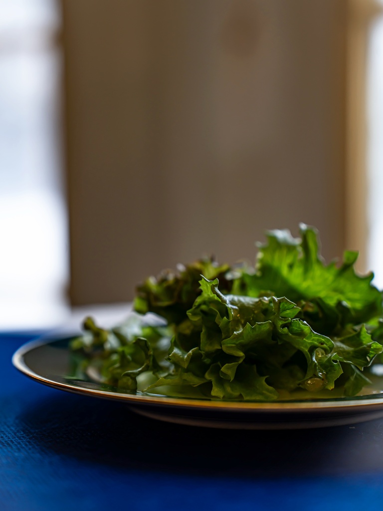 “Lettuce🥬” Date/20260507