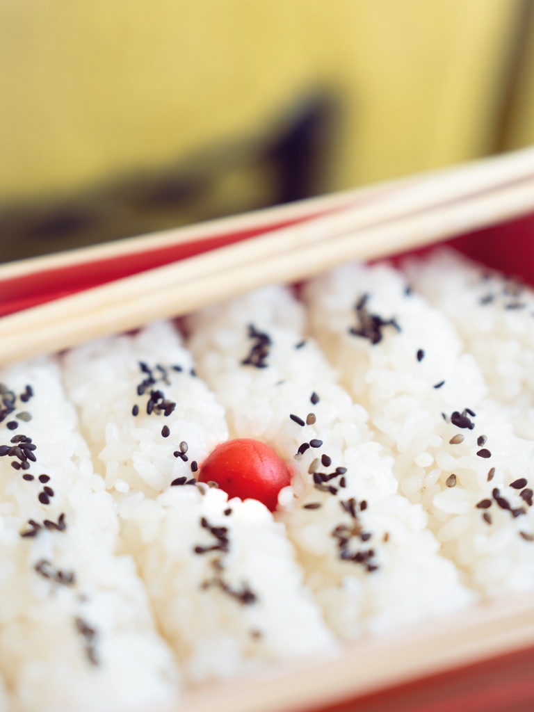 “Rice🇯🇵“ Date/20260513
