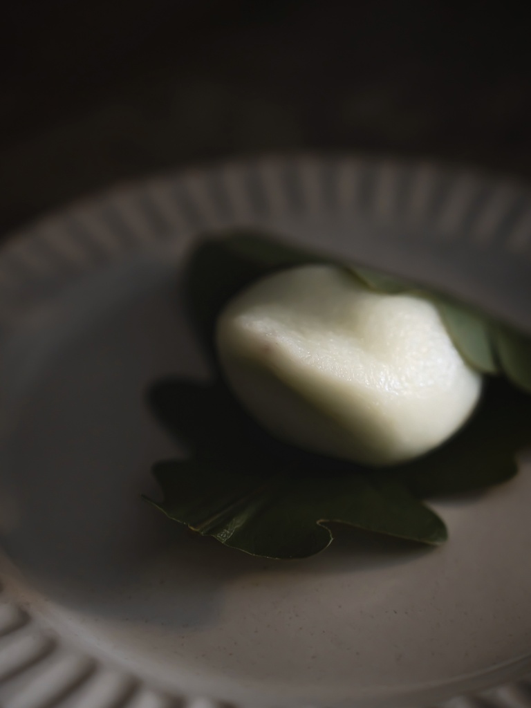 “Kashiwa-mochi🌱“ Date/20260419
