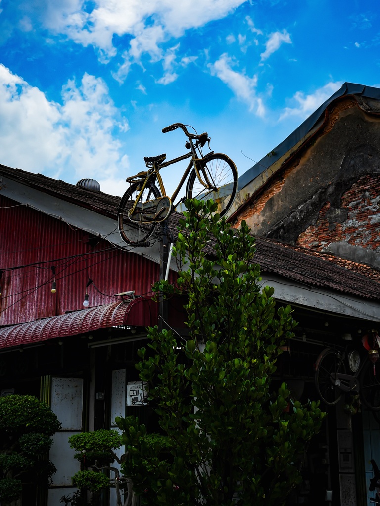 “Bicycle🚲”20260625