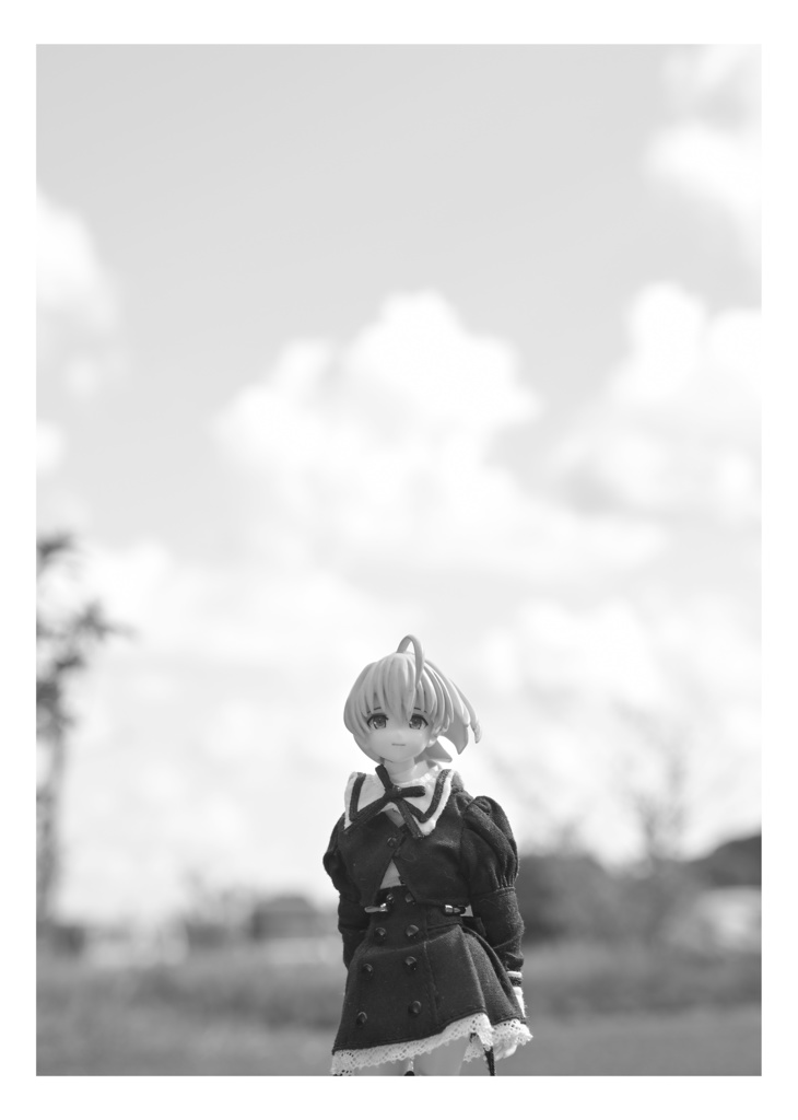 Lily's Tone -Monochrome-