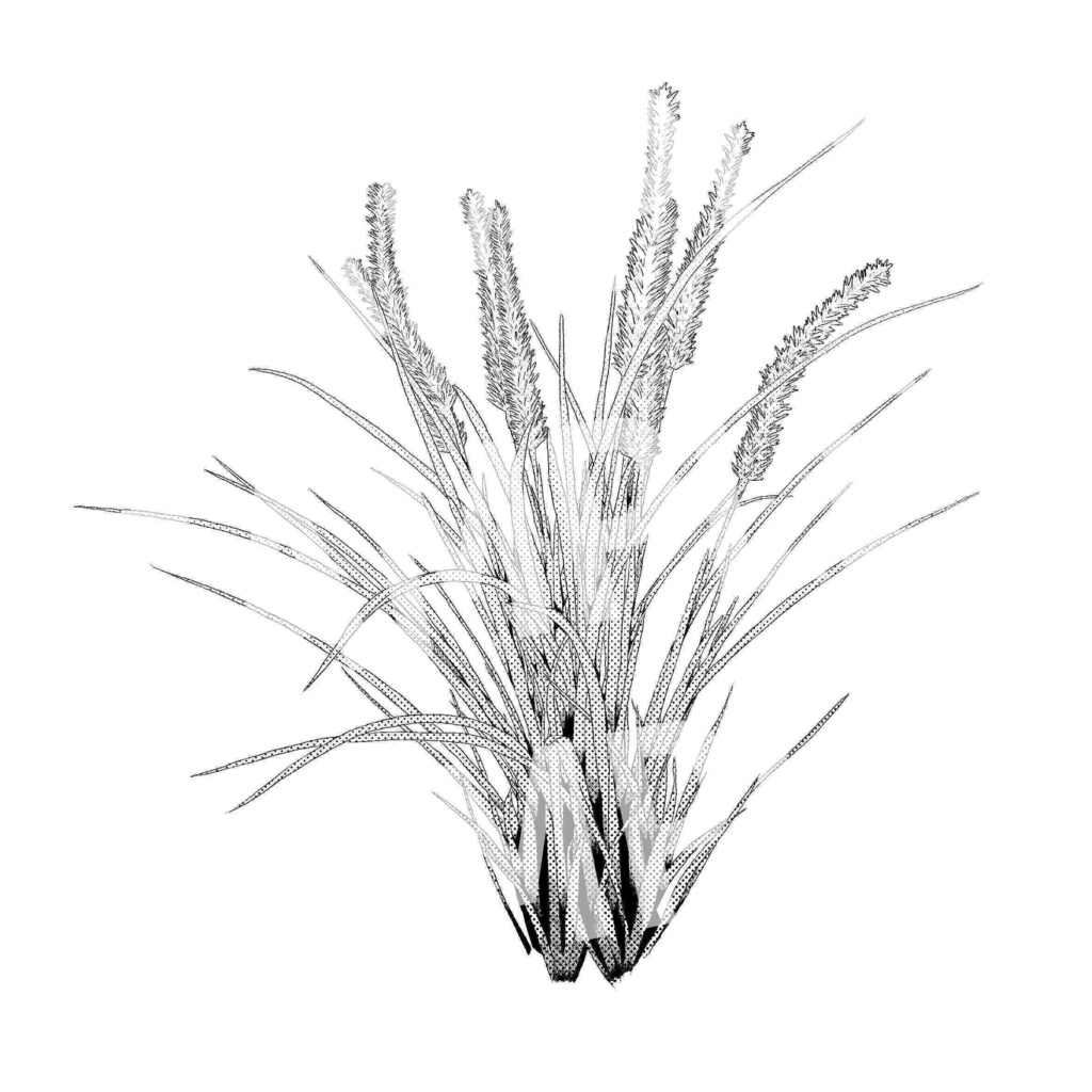 植物 6　画像素材（Plant 6)