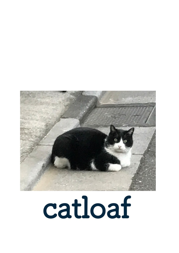 catloaf