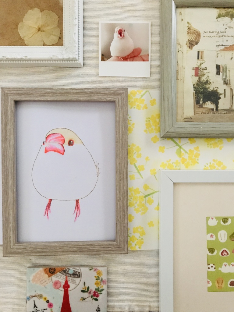 Java Sparrow ロゴに乗った3羽Tシャツ