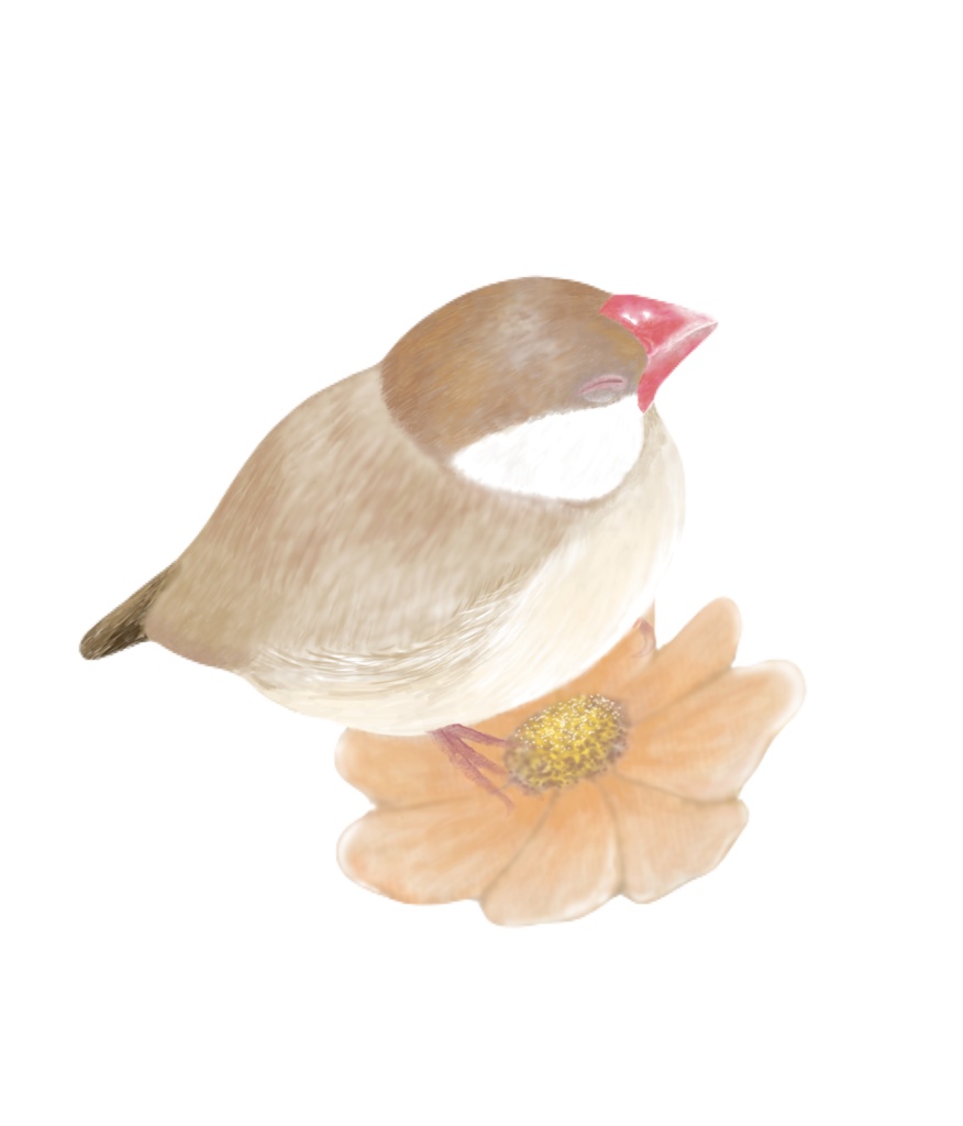 コスモスとシナモン文鳥さんのト-トバッグ