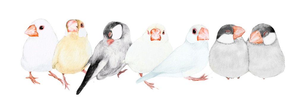 7羽の文鳥さんが並んだトートバッグ