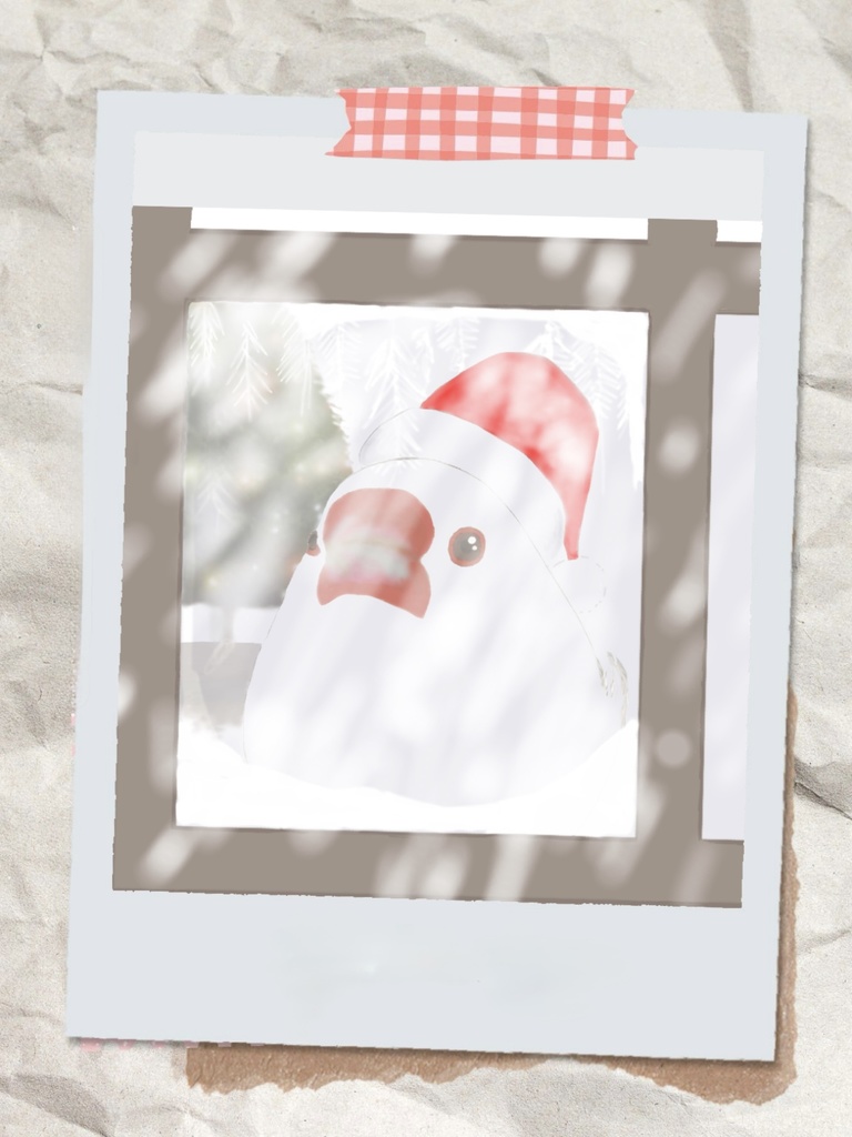 サンタクロースに会いたかった文鳥さんマグカップ