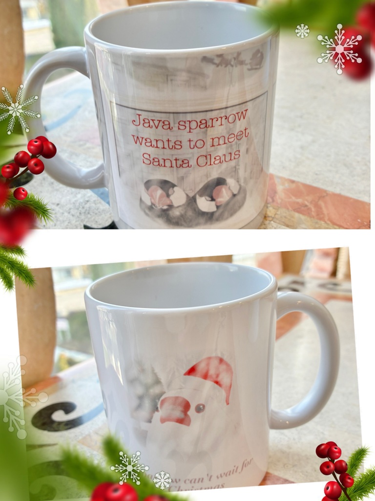 サンタクロースに会いたかった文鳥さんマグカップ