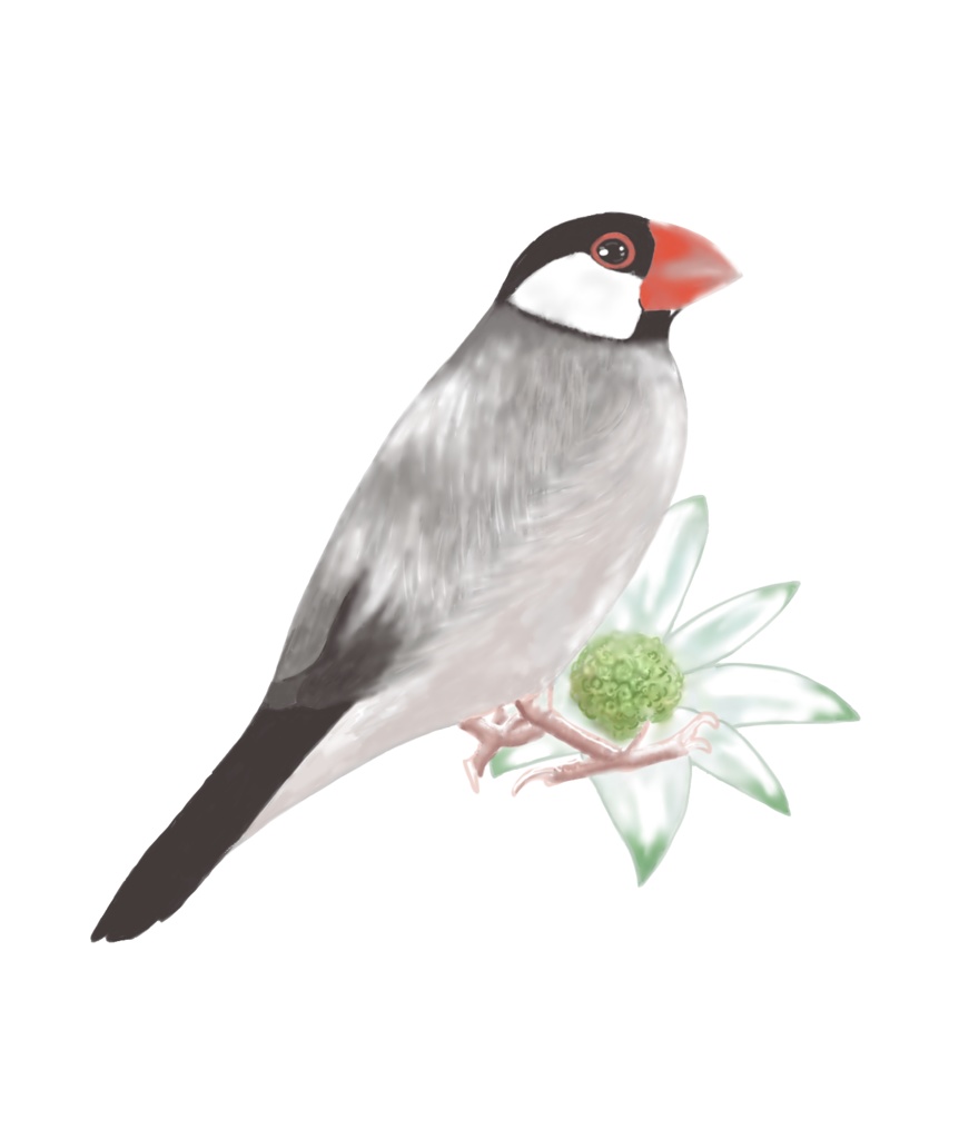 3羽の桜文鳥さんとお花のマグカップ