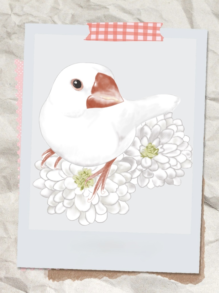 天使のような白文鳥ポーチ