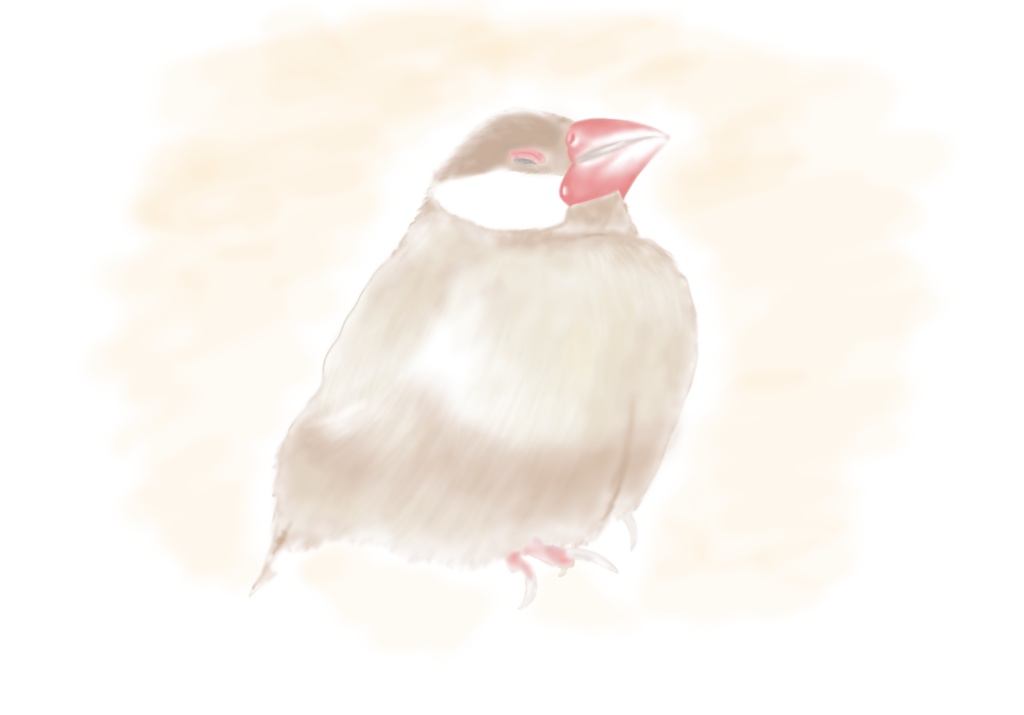 眠くなったシナモン文鳥さんTシャツ