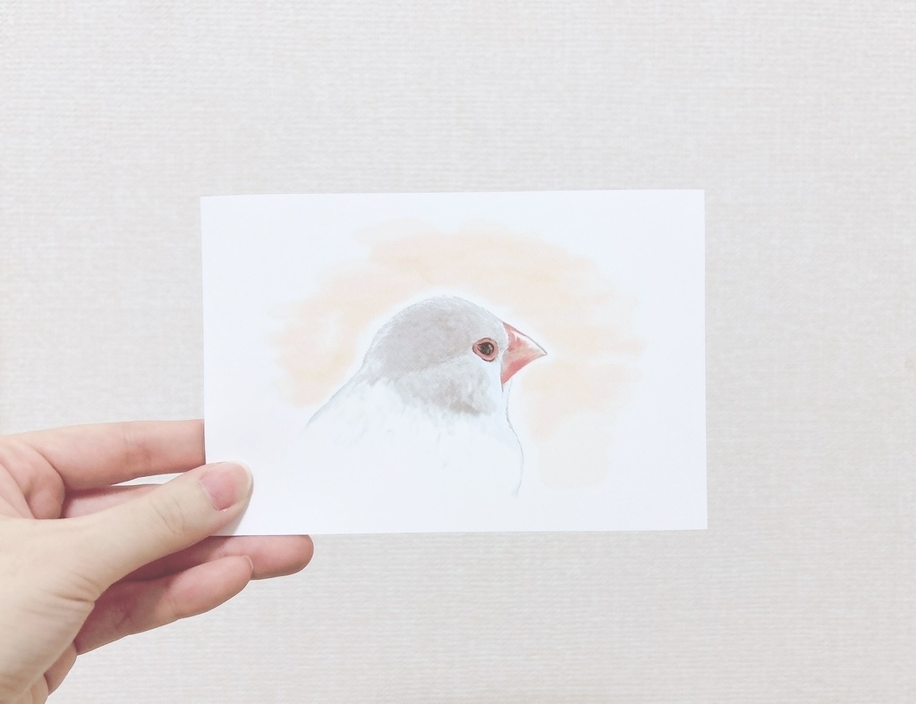 お外を眺めている文鳥さんTシャツ