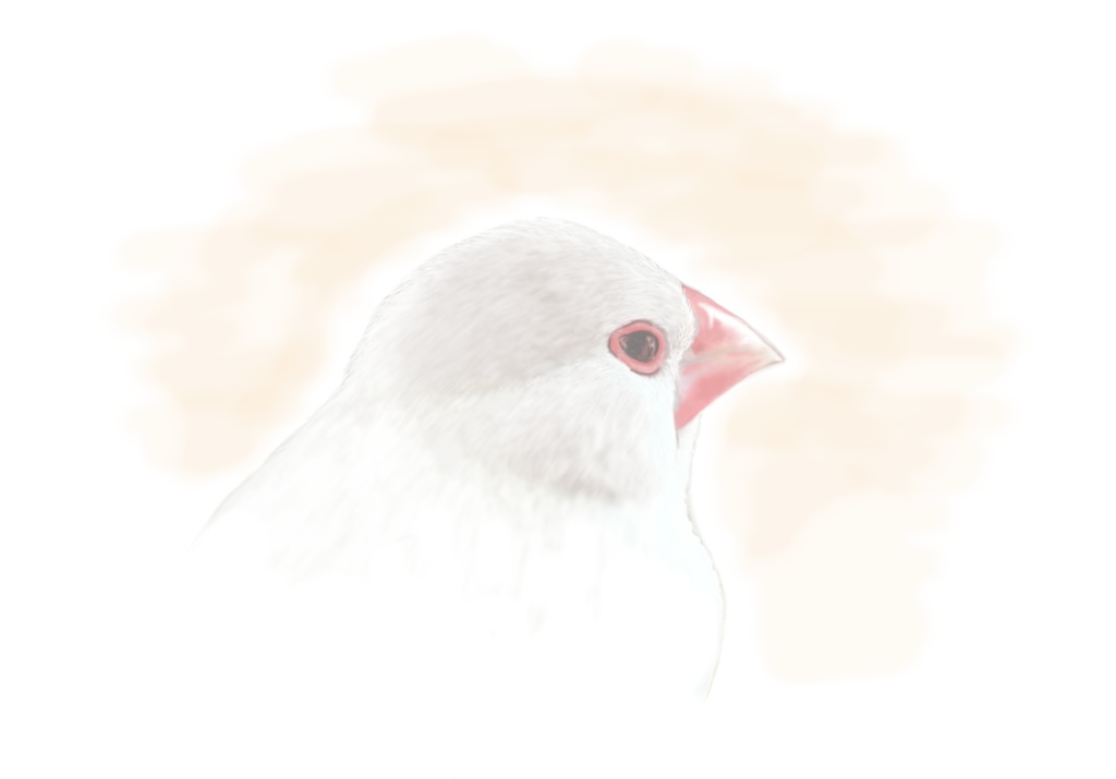 お外を眺めている文鳥さんTシャツ