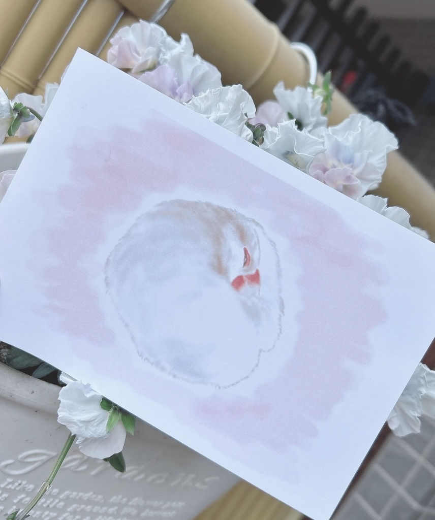 いい夢を見ていそうな文鳥さんたちのマグカップ