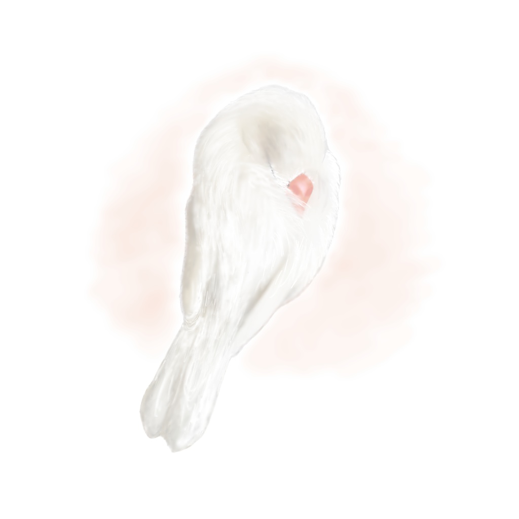 いい夢を見ていそうな文鳥さんたちのマグカップ