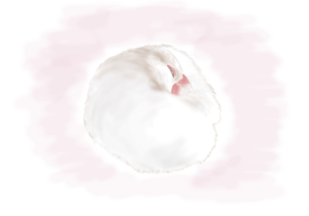 いい夢を見ていそうな文鳥さんたちのマグカップ