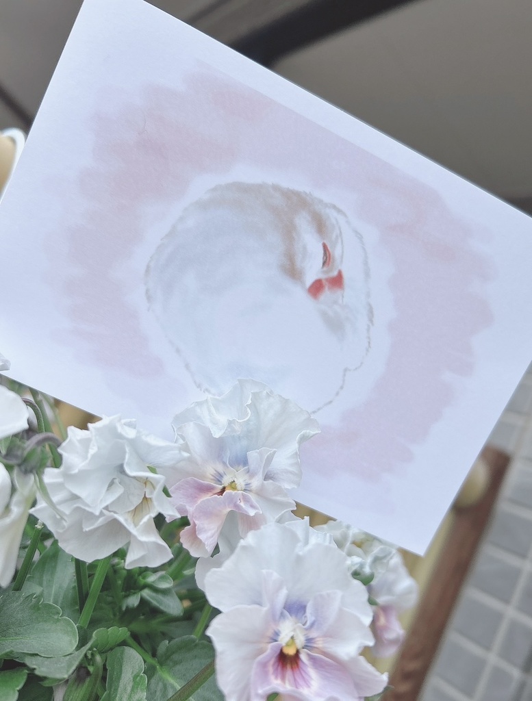 いい夢を見ていそうな文鳥さんたちのマグカップ