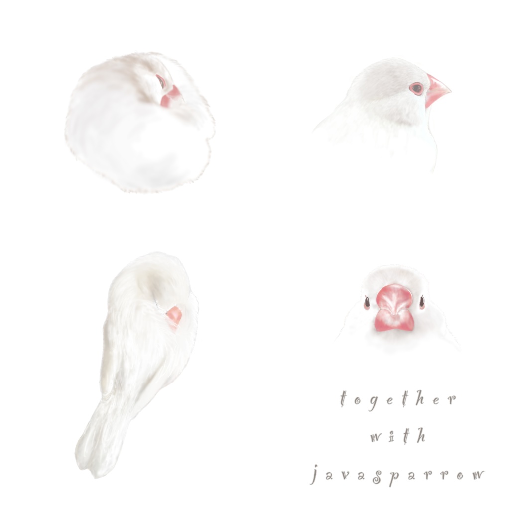 穏やかな時間と文鳥さんに癒されるエコバッグ