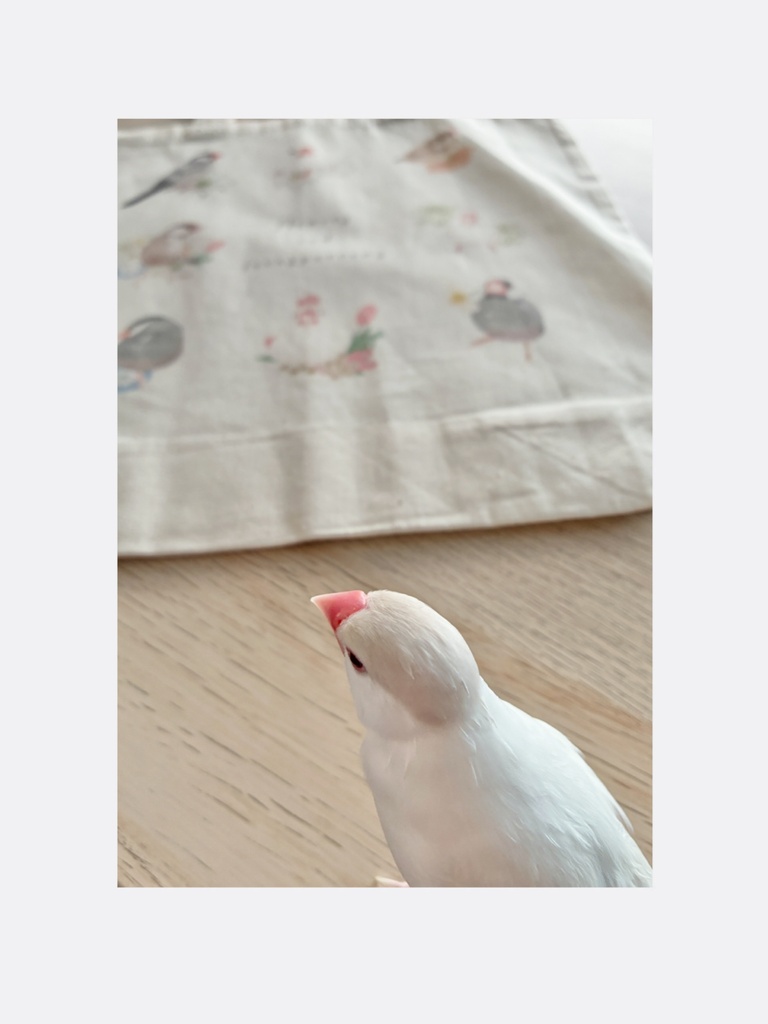 🌸8羽の文鳥さんとお花のエコバッグ