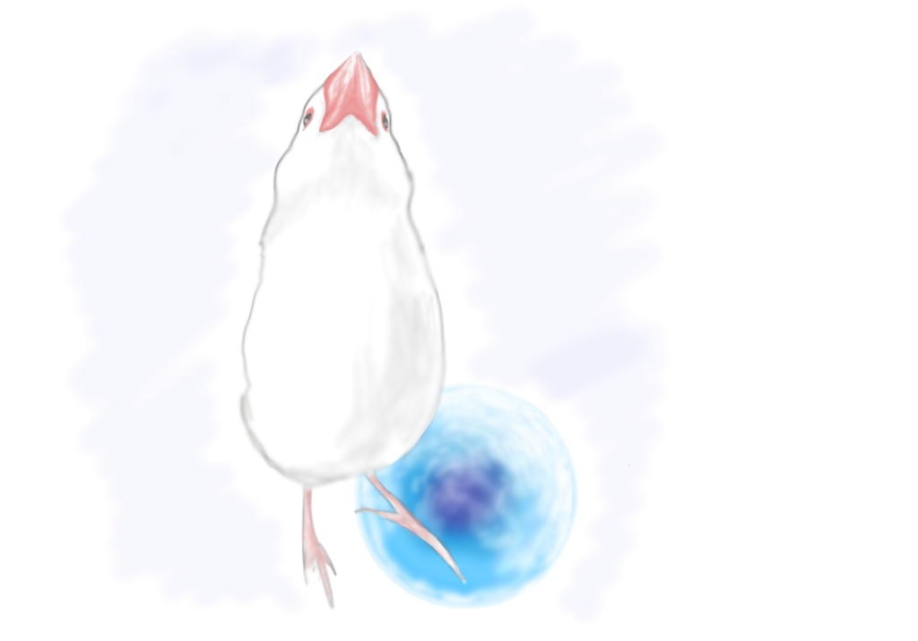 3羽で背比べをする文鳥さんTシャツ