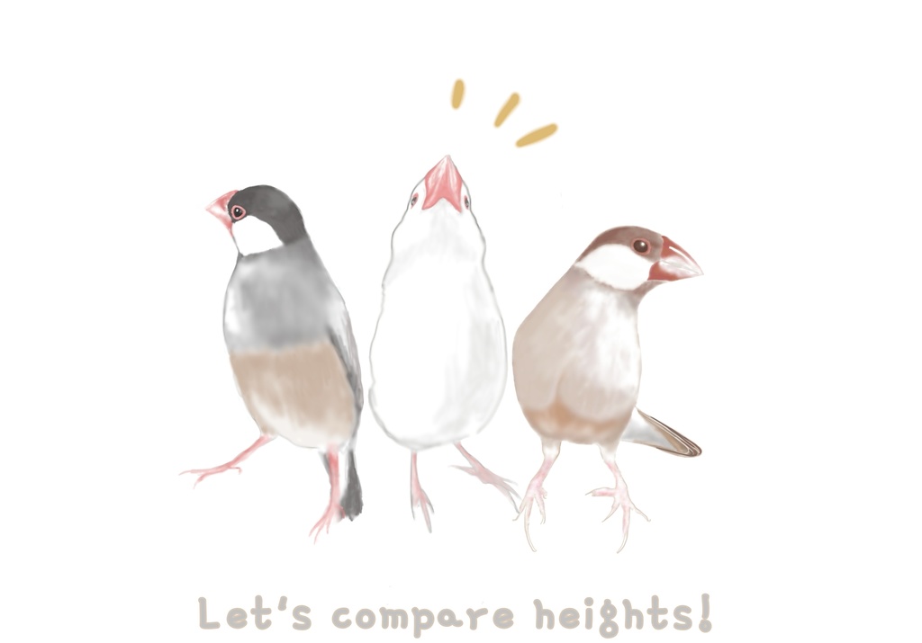 3羽で背比べをする文鳥さんTシャツ