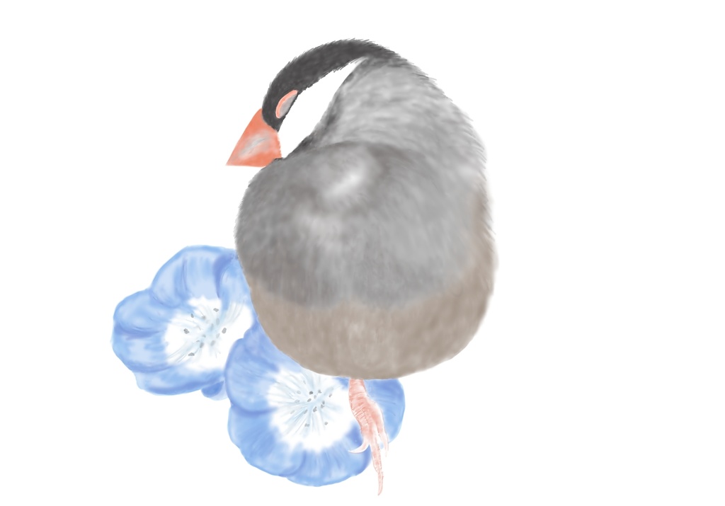3羽の文鳥さんの居眠りTシャツ(左胸にイラスト)