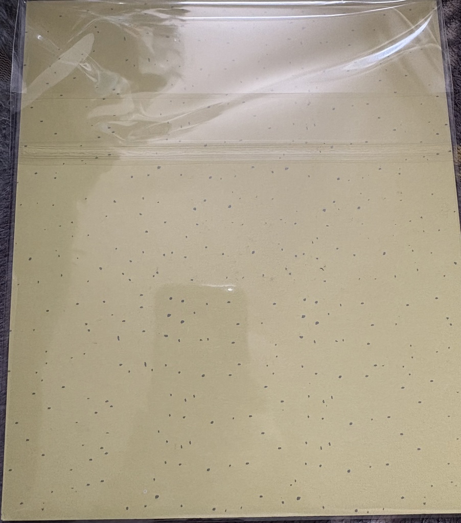 北ティア 色紙ガチャ特賞 【女の犬】