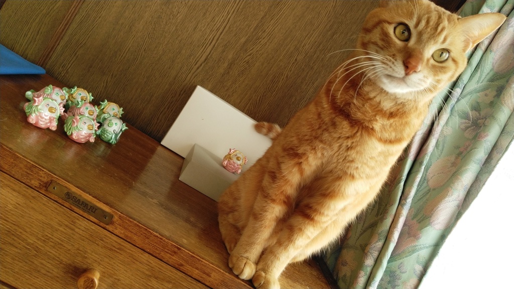 アマビヱ陶器人形(ピンク(髪グリーン)