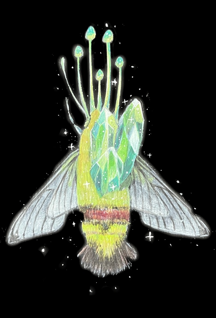 【原画作品】Spore of Stars - pellucid hawk moth