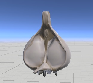 龍の都の地下で採れた野菜セット