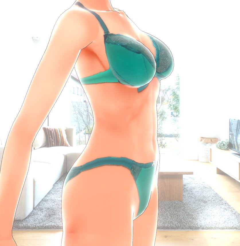 リアル高品質下着 RICH COLOR 全8色 VRoid用