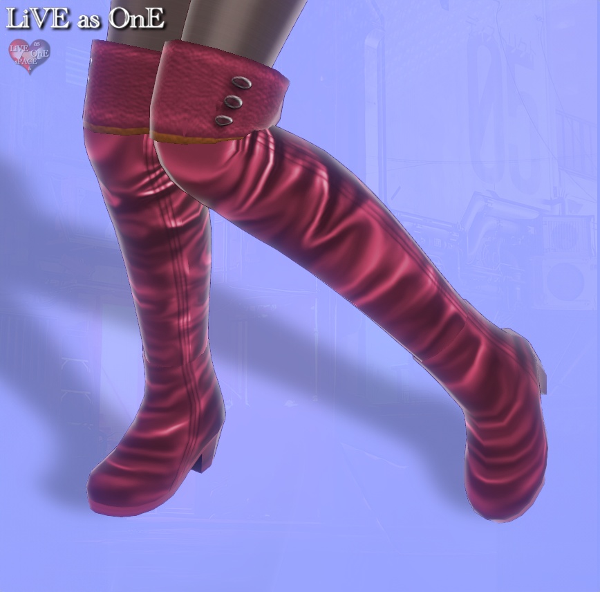 ニーハイ・リアルレザーブーツ セット&単体 VRoid用