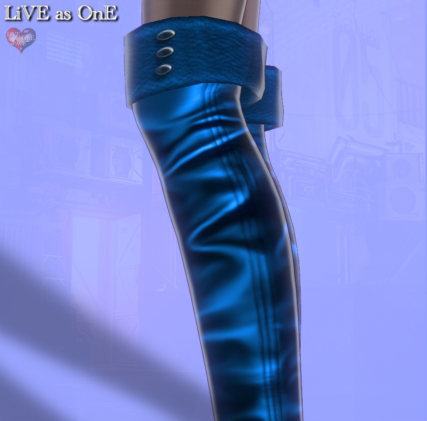 ニーハイ・リアルレザーブーツ セット&単体 VRoid用