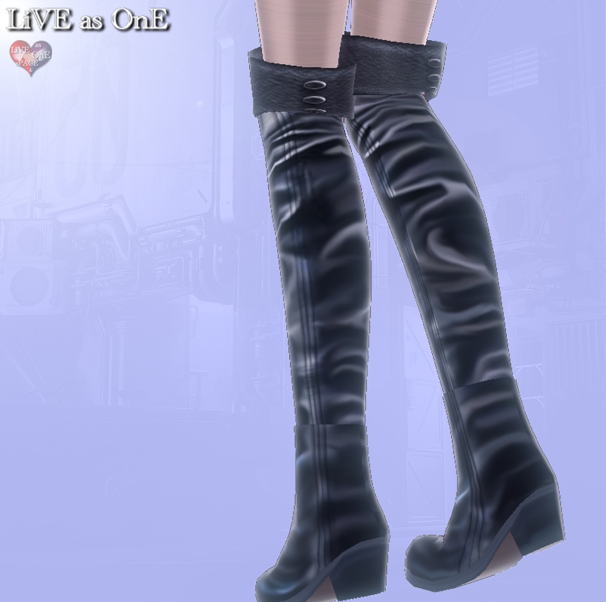 ニーハイ・リアルレザーブーツ セット&単体 VRoid用