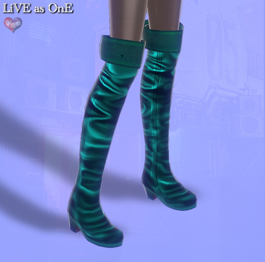 ニーハイ・リアルレザーブーツ セット&単体 VRoid用