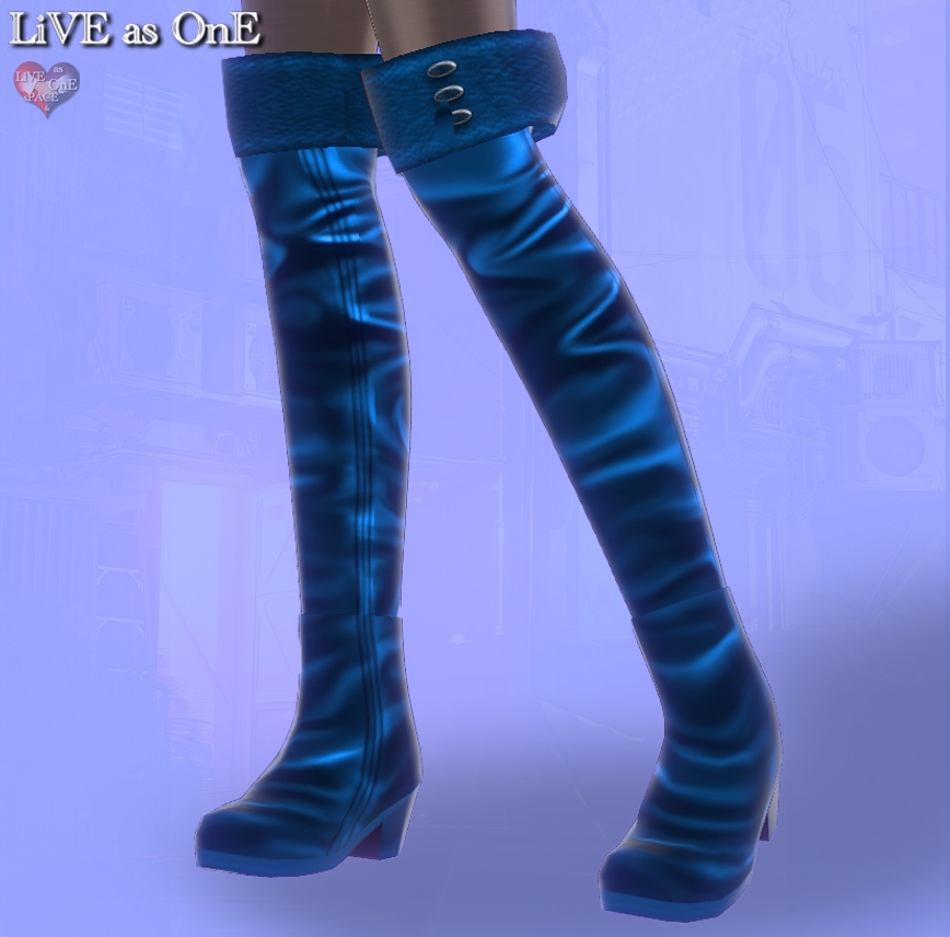 ニーハイ・リアルレザーブーツ セット&単体 VRoid用