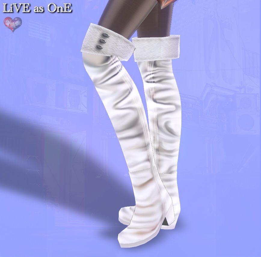 ニーハイ・リアルレザーブーツ セット&単体 VRoid用