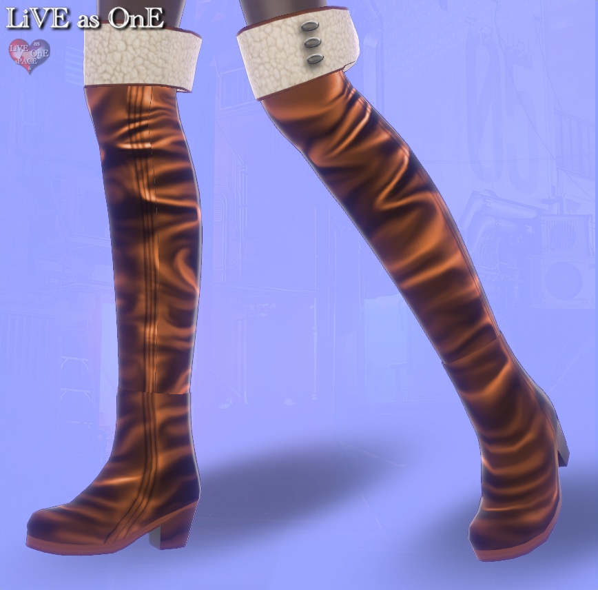 ニーハイ・リアルレザーブーツ セット&単体 VRoid用