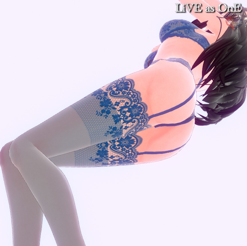 取り外し可能 高級ランジェリー4点セット7色! Vroid 下着