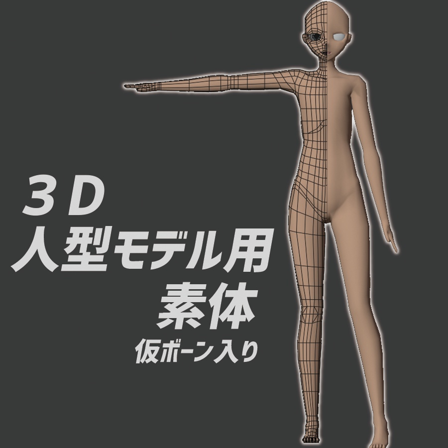 3D人型モデル用素体