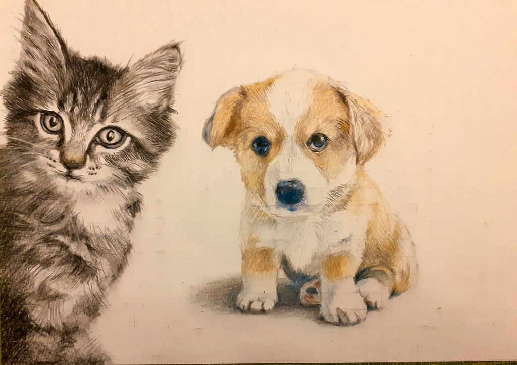 色鉛筆による細密画