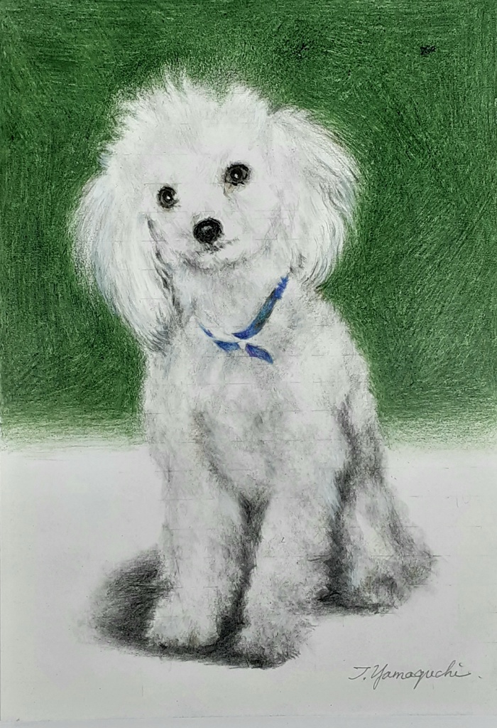 色鉛筆による細密画