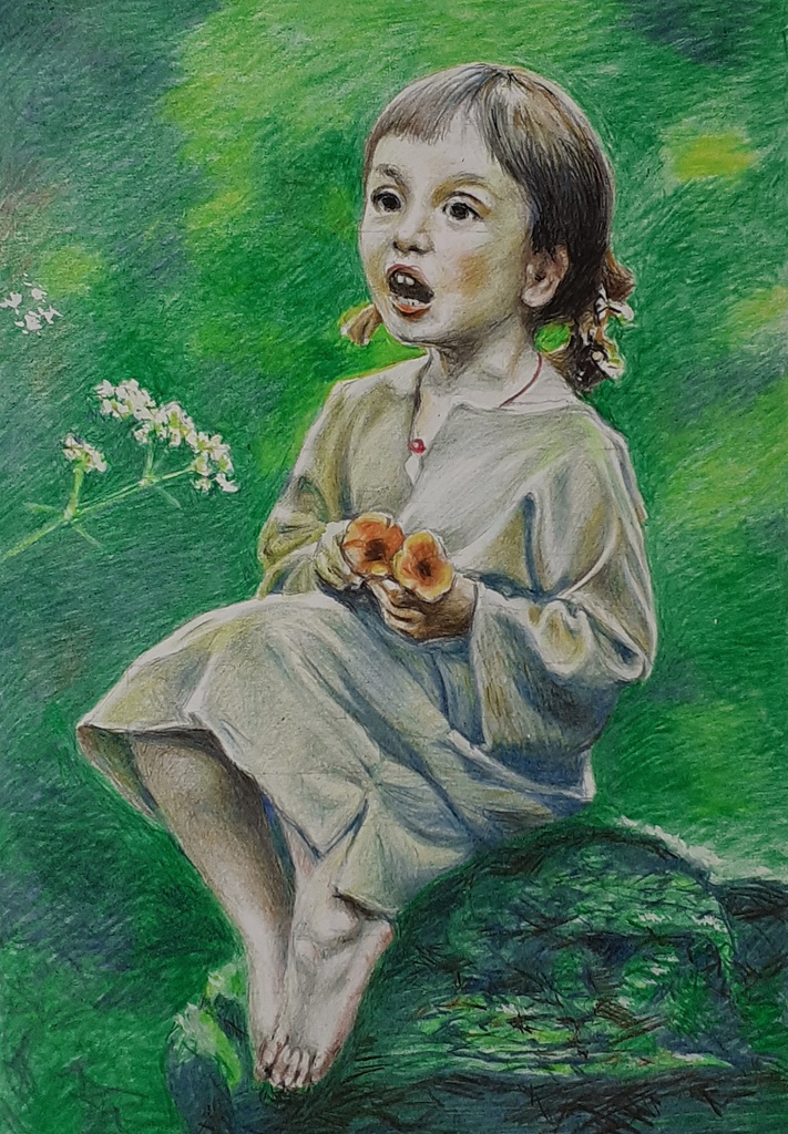 色鉛筆による細密画