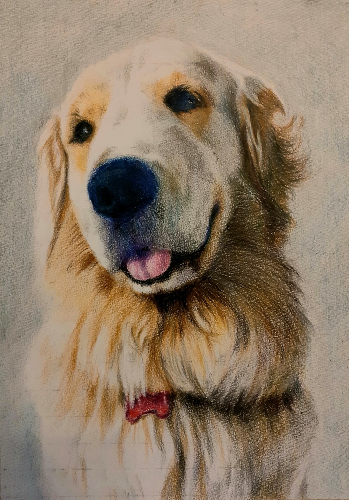 色鉛筆による細密画