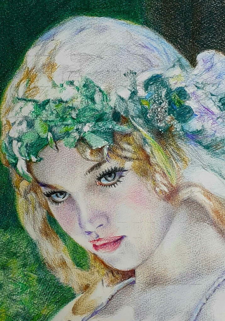 色鉛筆による細密画